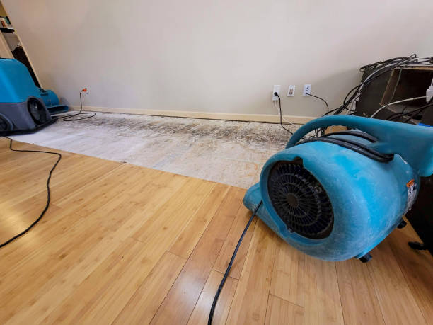 Professional Structural Drying technician working in Plantation, FL